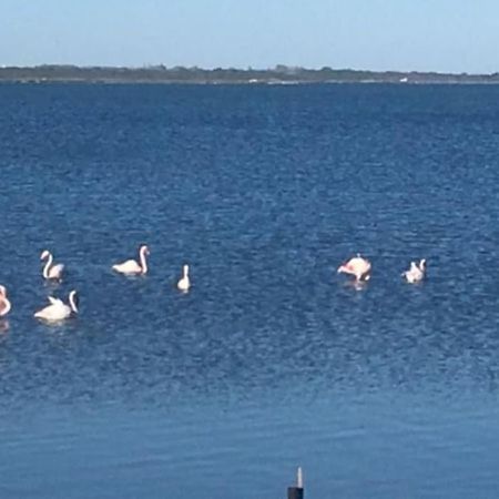 Villa Avec Spa & Vue Panomarique Sur L'Etang Pérols Esterno foto